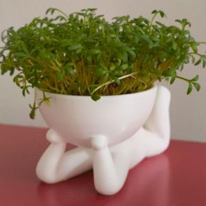 Lazy Buddy Flower Pot