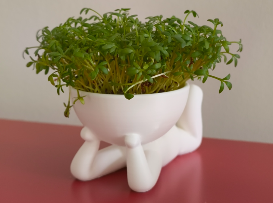 Lazy Buddy Flower Pot