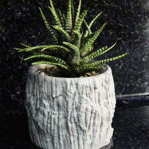 Rustic Stone-Texture 3D Printed Planter